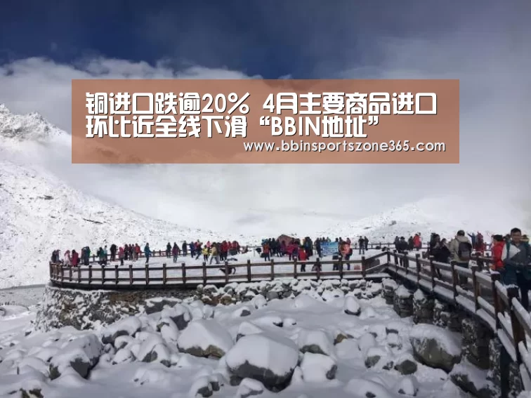铜进口跌逾20% 4月主要商品进口环比近全线下滑“BBIN地址”(图1) BBIN竞猜