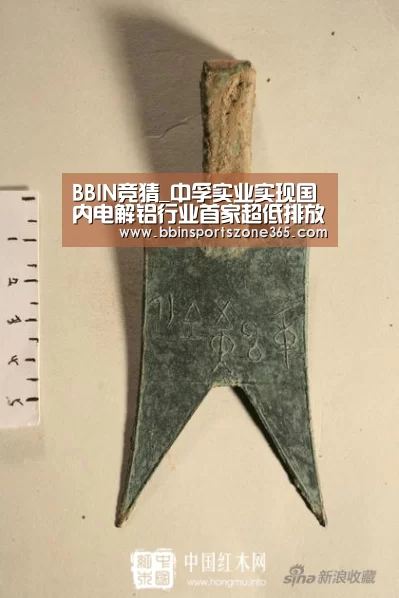 BBIN竞猜_中孚实业实现国内电解铝行业首家超低排放(图3) BBIN地址