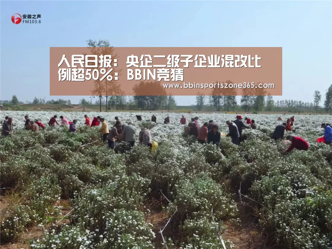 人民日报:央企二级子企业混改比例超50%:BBIN竞猜(图1) BBIN百家乐