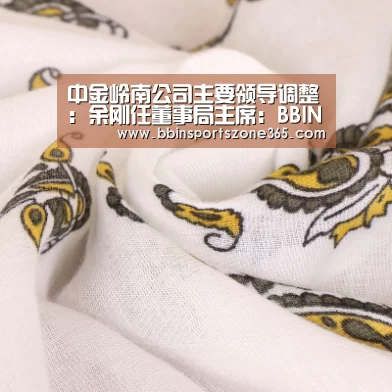 中金岭南公司主要领导调整:余刚任董事局主席:BBIN竞猜(图2) BBIN捕鱼