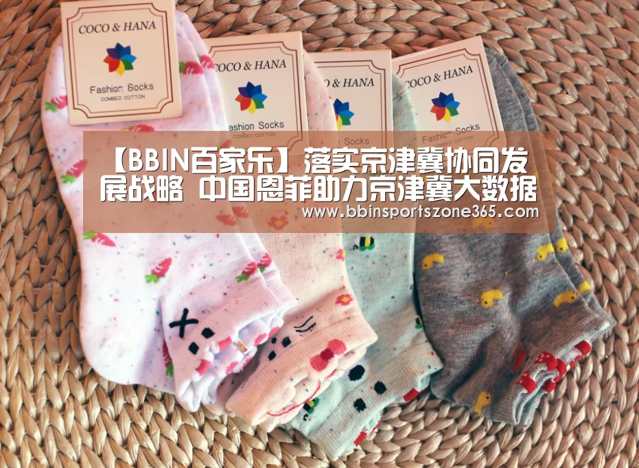 【BBIN百家乐】落实京津冀协同发展战略 中国恩菲助力京津冀大数据协同处理中心(图1) BBIN地址