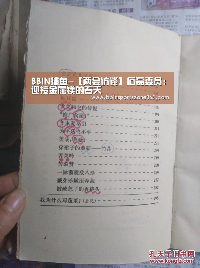 BBIN捕鱼-【两会访谈】石磊委员:迎接金属镁的春天(图1) BBIN捕鱼