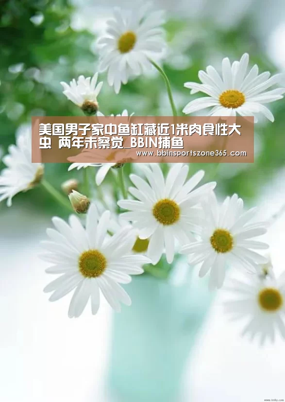 BBIN百家乐