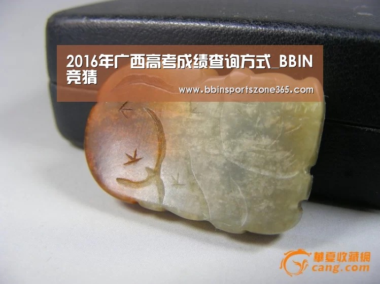 BBIN地址