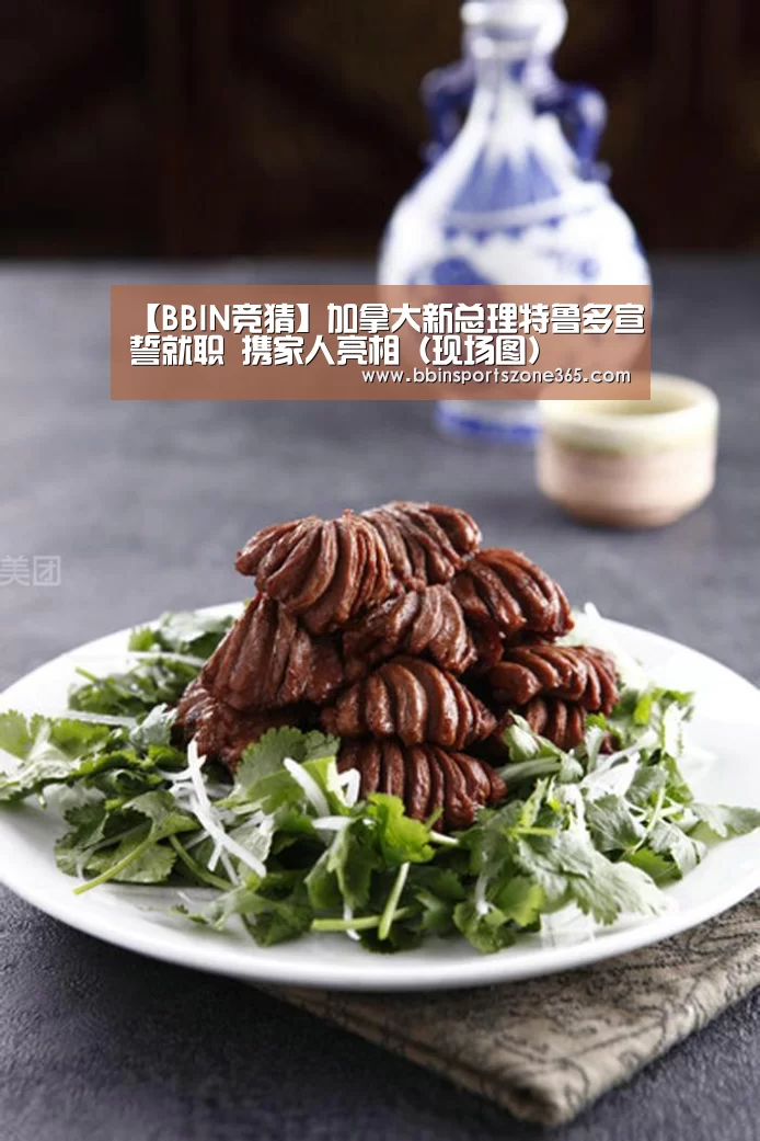 【BBIN竞猜】加拿大新总理特鲁多宣誓就职 携家人亮相（现场