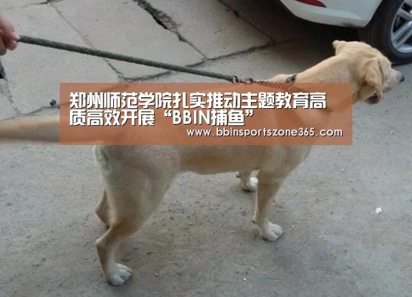 郑州师范学院扎实推动主题教育高质高效开展“BBIN捕鱼”(图2) BBIN地址