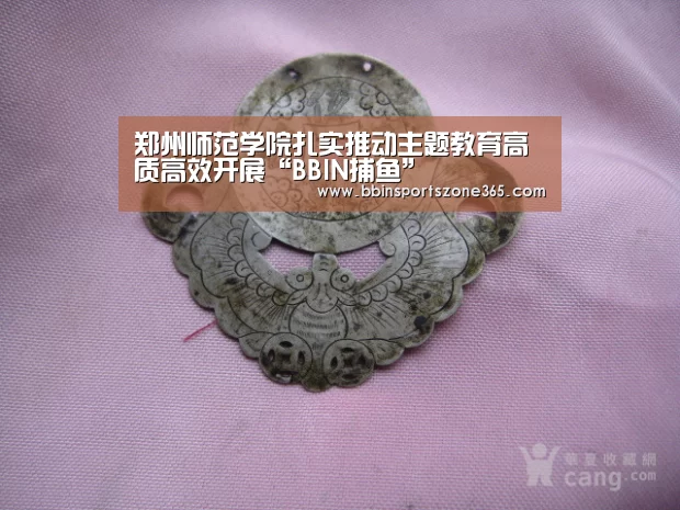 郑州师范学院扎实推动主题教育高质高效开展“BBIN捕鱼”(图3) BBIN百家乐
