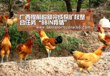 广西提前超额完成探矿权整合任务“BBIN竞猜”(图1) BBIN捕鱼