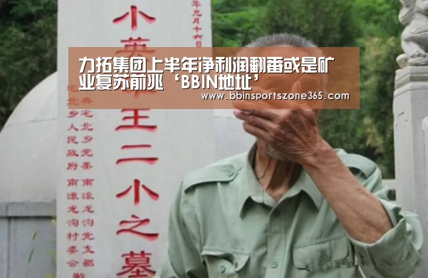 力拓集团上半年净利润翻番或是矿业复苏前兆‘BBIN地址’(图3) BBIN竞猜